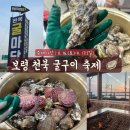 진석수산 | 대천 보령 천북 굴축제 : 천북굴단지 바다뷰 식당/ 근처 볼거리 / 주차 / 가격 / 꿀팁