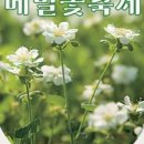 제주민속촌 이미지