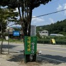메밀터막국수 이미지