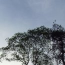 개울가 - 서산시 마애삼존불길 83 | 개울가