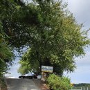 덕신산장 이미지