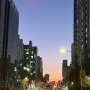 유한회사 평화농장 | [26.01] 5-11일 평화로운 일상 - 부스터프로 동대문 판교 일