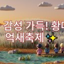 황매산 억새축제 이미지