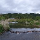 한봉축사 이미지