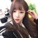 하니몰 이미지