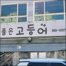 화덕품은생선구이 네이버블로그