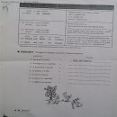 성인기초영어 초급1 이미지