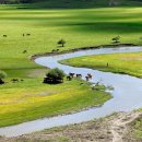 유목민의 눈으로 본 아시아: 몽골 유목문화의 전통과 현대 | 몽골 여행, 유목 문화 체험, 계절별 전략