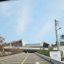 판다오라 이미지