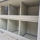 닭에미쳐 이미지