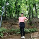 티지온 이미지