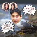 까치민박 | 나솔사계 8기 영수 "발 있는 새 될까?" 엄마냐 누나냐 2호 3호 고뇌 (ft. 양끼 꺼드럭 양다리썸)