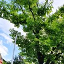 칼봉산카라반캠핑장 이미지