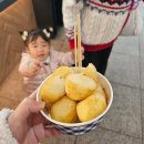 아랑동물병원 | 1박 2일 가평 가족여행 기록🍂 /251113-14