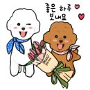 용현5동 주민센터 이미지