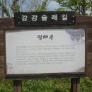 강강술래길 Daum카페