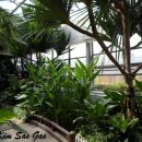 사슴방목장 이미지