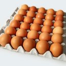 조선일보 보급소 이미지