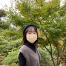 짱이레분식 | 서울근교 단풍명소 끝판왕 화담숲🍁 feat. 방문시 꿀팁‼️