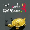 산사랑산약초 이미지