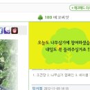 에코다움