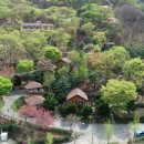 산삼자연휴양림(함양) 이미지