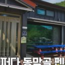 어쩌다동막골 이미지