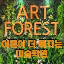 쉼, 색연필 보태니컬 아트 | 일산 식사동 아트포레스트 미술학원 후기 - 성인 취미미술 체험기