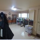 강남-295 이미지