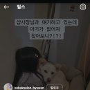 이걸 보면 6초만에 불쾌지수가 내려간대 ㅅㅂ 개소리하고 앉아있어 이미지