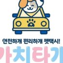 가치타개(타개) 이미지