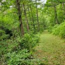 약수골 농장 이미지