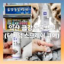 금강동물병원 | [내돈내산] 강아지 발사탕에 특효인 터비덤 스프레이큐어 익산 금강동물병원 구매 후기
