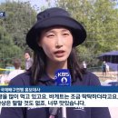 김연경 파리올림픽때 인터뷰 왤케웃김 이미지