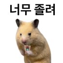 태양곱창(한양대점) | 2025 버킷리스트 2개나 이룬 나로 돌아왔다.