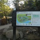 내원자동차야영장 이미지