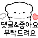 차차차샤브샤브&고기하우스 이미지