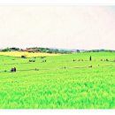 요한한의원 이미지