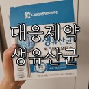 과민성대장증후군 탈출기, 대웅제약 생유산균으로 바뀐 나의 장 건강 루틴