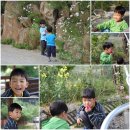 금동산야 이미지