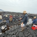 서부종합사회복지관, “제주를 그린(Green), 내일을 클린(Clean)” 해양 정화 활동 진행 이미지