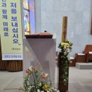 로사네집