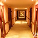힙호텔 - 15570 | 힙호텔