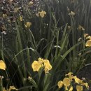 참조은지압원 이미지