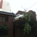 우면산 Daum카페