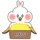 어반디오르