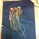 도마1리 이미지