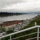 황금비늘 테마거리 | 공지천 황금비늘테마거리 즐거운 산책!