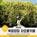 (주)대원투팜 | 창원 목향장미 명소 차오름카페 마산 내서 아이와 감성카페
