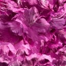 숲이랑아이랑유치원 이미지